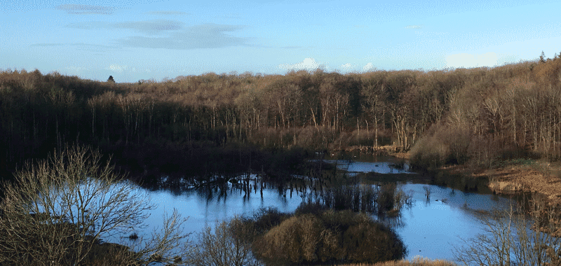 Aussicht aus der alten Landfrauenschule in Glücksburg